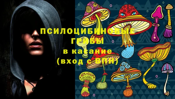 ПСИЛОЦИБИНОВЫЕ ГРИБЫ Алексин