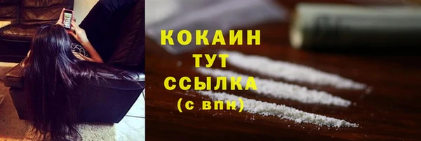 тгк Алзамай