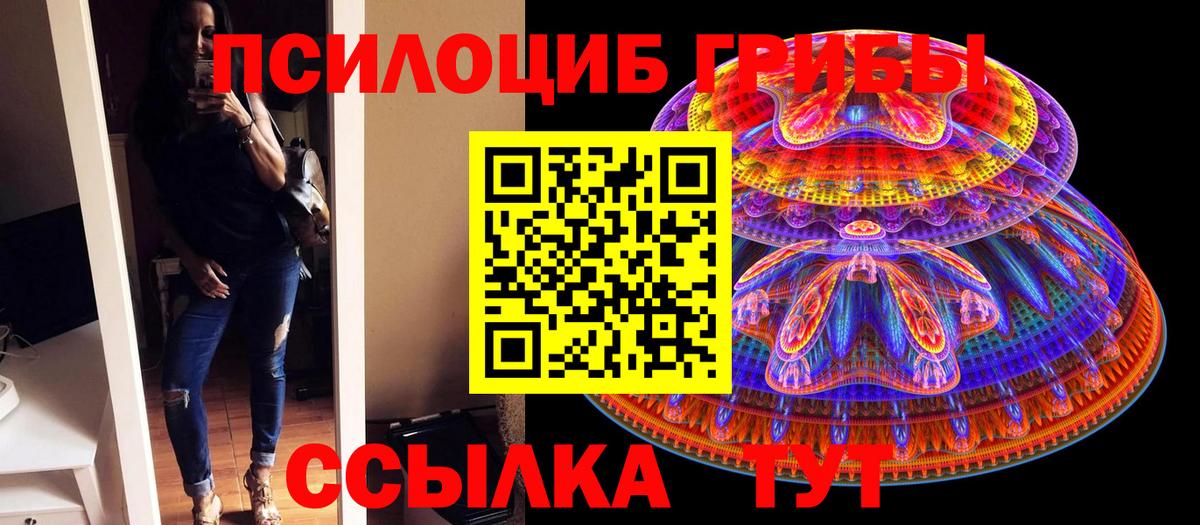 Анжеро-Судженск  Псилоцибиновые грибы MAGIC MUSHROOMS  Вход с VPN 