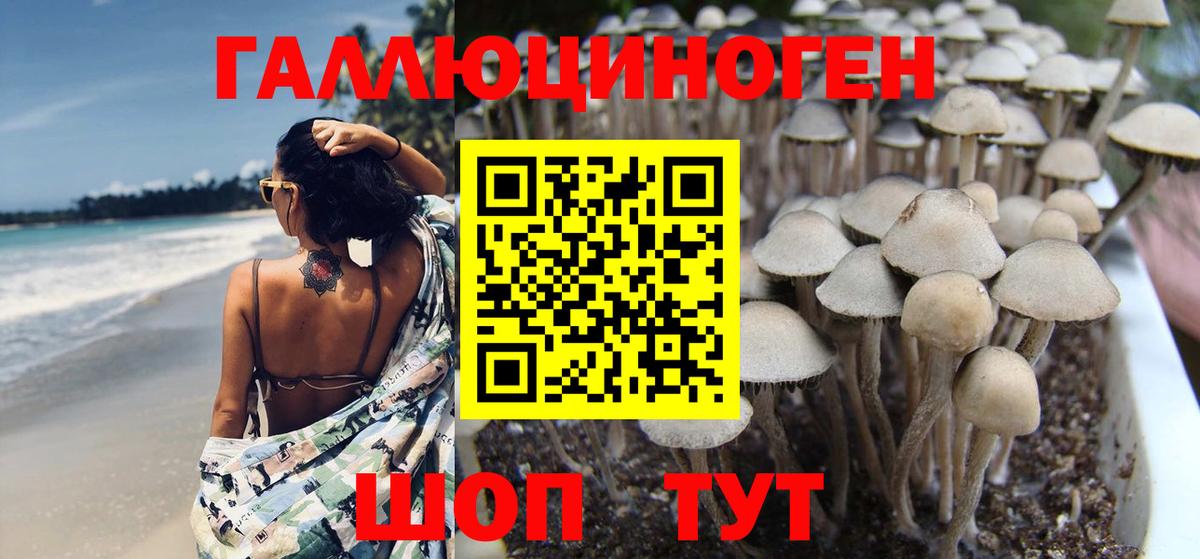Галлюциногенные грибы мухоморы Анжеро-Судженск