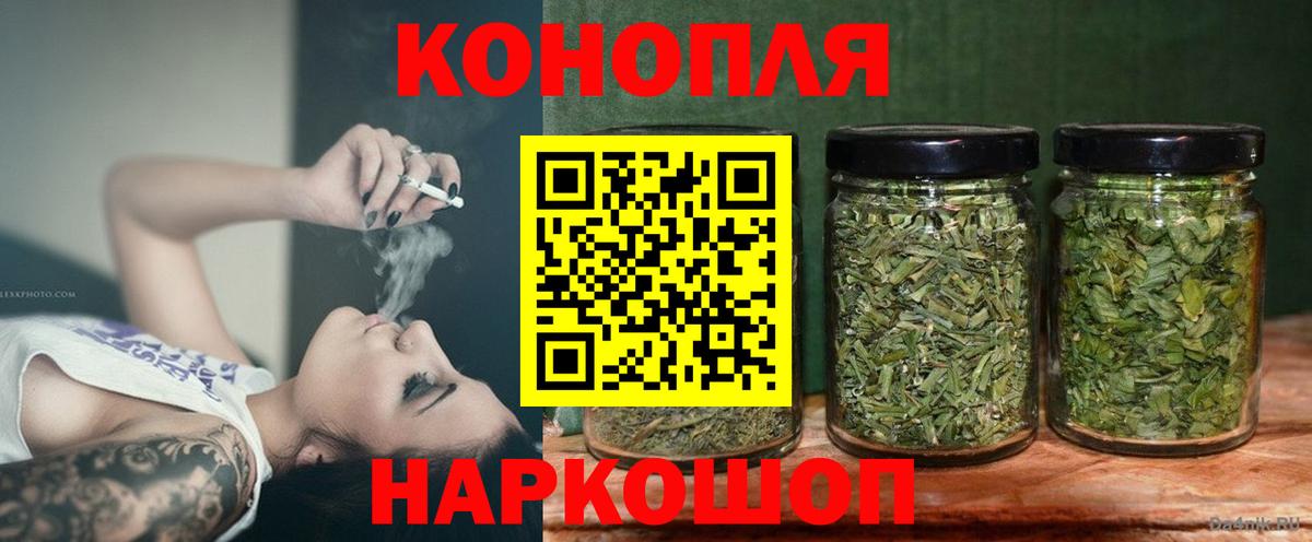 Бошки Шишки планчик Анжеро-Судженск